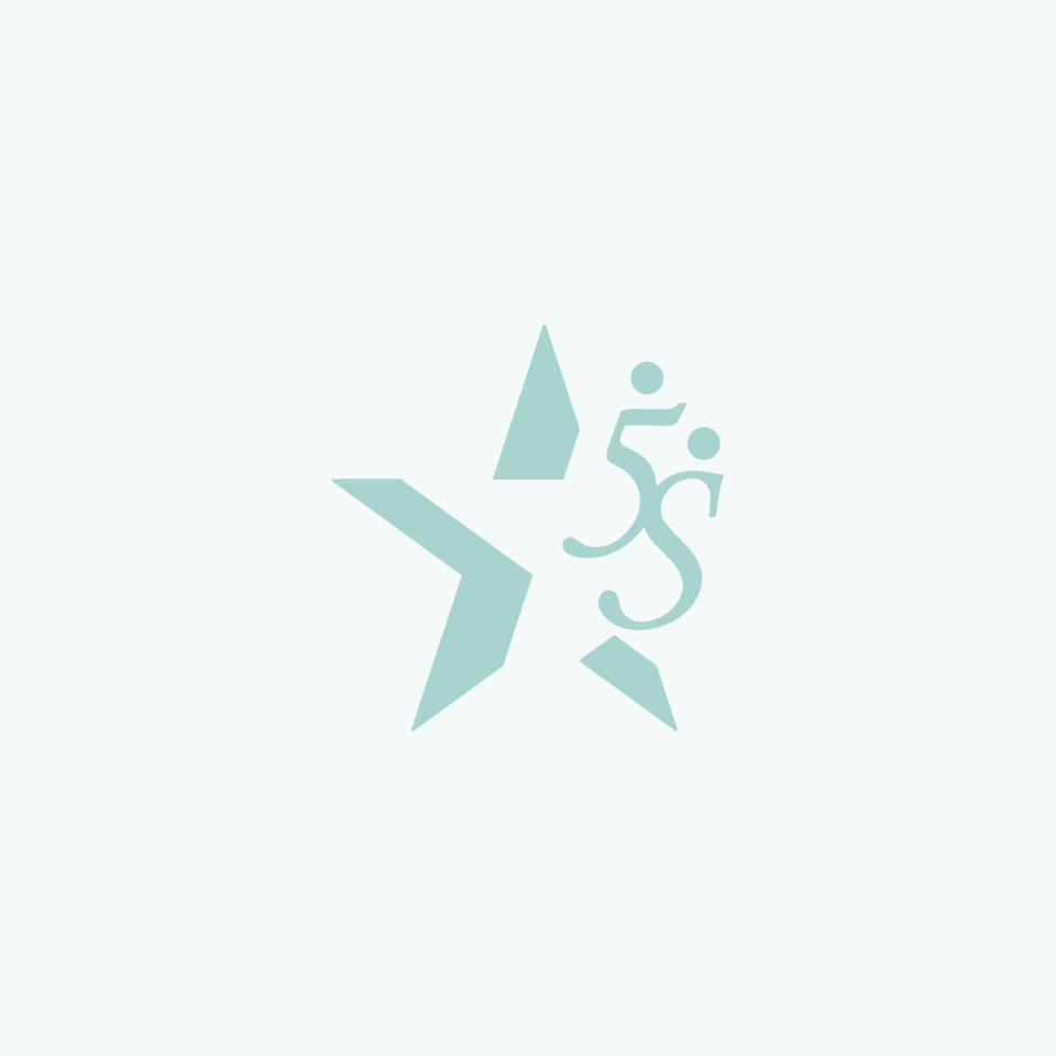 ファイブ・スター・パートナーズ株式会社